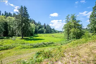 34 Wirkkala Rd, Naselle, WA 98638 - Photo 31