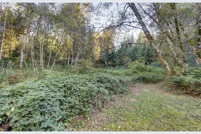 00 NE 142nd Ave, Amboy, WA 98601 - Photo 15