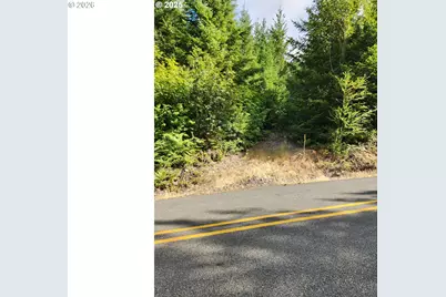 Tumala Mountain Road, Estacada, OR 97023 - Photo 7