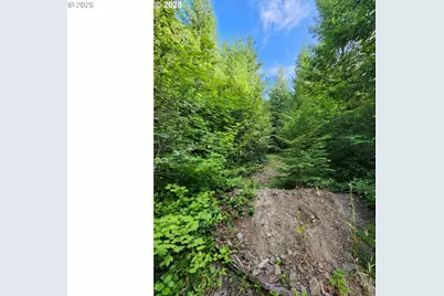 Tumala Mountain Road, Estacada, OR 97023 - Photo 5