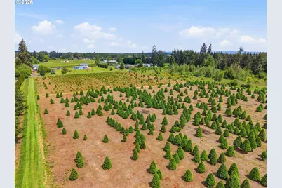 02 Shiloh Rd, Winlock, WA 98596 - Photo 5
