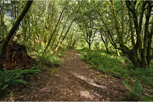 0 Cougar Rd, Coquille, OR 97423 - Photo 1