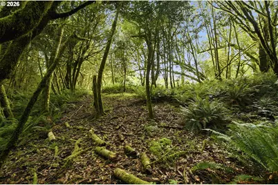 0 Cougar Rd, Coquille, OR 97423 - Photo 7