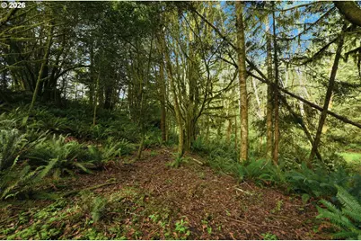 0 Cougar Rd, Coquille, OR 97423 - Photo 9