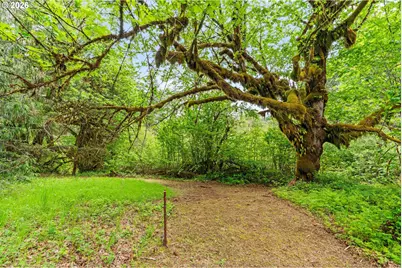 93933 Marcola Rd, Marcola, OR 97454 - Photo 27