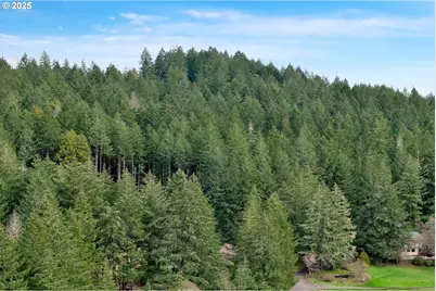 0 Hall Rd, Cheshire, OR 97419 - Photo 9