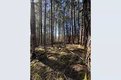 0 Hall Rd, Cheshire, OR 97419 - Photo 5