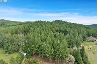 0 Hall Rd, Cheshire, OR 97419 - Photo 11