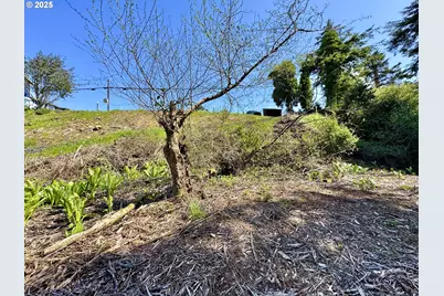 0 S Empire Blvd, Coos Bay, OR 97420 - Photo 15