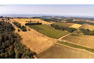 13 Franquette, Amity, OR 97101 - Photo 25