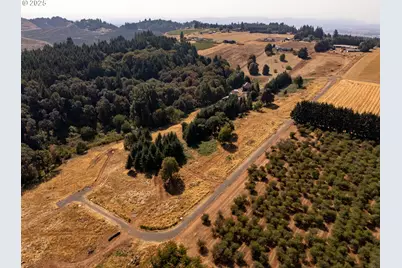 13 Franquette, Amity, OR 97101 - Photo 35