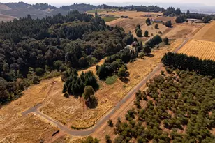 13 Franquette, Amity, OR 97101 - Photo 35