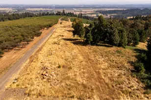 13 Franquette, Amity, OR 97101 - Photo 29