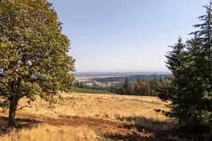 13 Franquette, Amity, OR 97101 - Photo 19