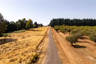 13 Franquette, Amity, OR 97101 - Photo 37