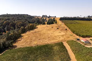 13 Franquette, Amity, OR 97101 - Photo 33