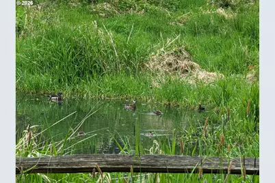 335 NE Hillwood Dr, Hillsboro, OR 97124 - Photo 13