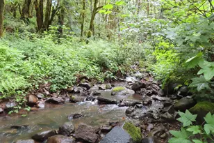 Sylvan Way, Longview, WA 98632 - Photo 1