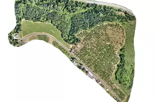 48025 NW Strohmayer Rd, Forest Grove, OR 97116 - Photo 31