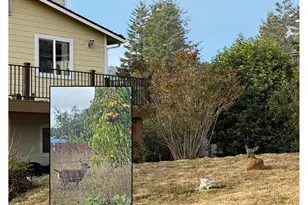 616 Pacific Ave, Brookings, OR 97415 - Photo 17