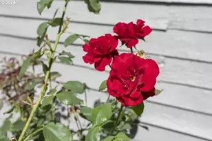 6922 SE Ramona St, Portland, OR 97206 - Photo 25