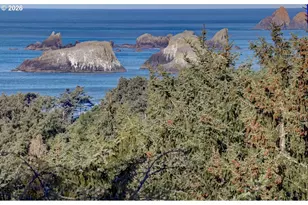 384 Sunset Blvd, Cannon Beach, OR 97110 - Photo 45