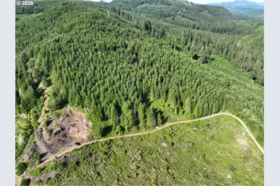 0 NE 206 Ave, Amboy, WA 98601 - Photo 23