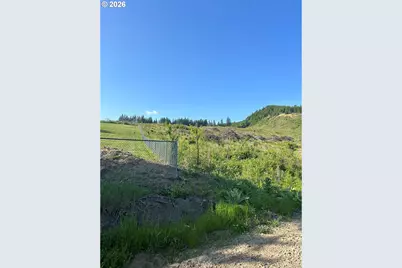 0 NE 206 Ave, Amboy, WA 98601 - Photo 45