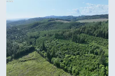 0 NE 206 Ave, Amboy, WA 98601 - Photo 11