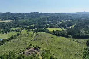 0 NE 206 Ave, Amboy, WA 98601 - Photo 1