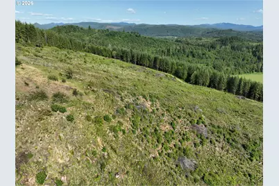 0 NE 206 Ave, Amboy, WA 98601 - Photo 21