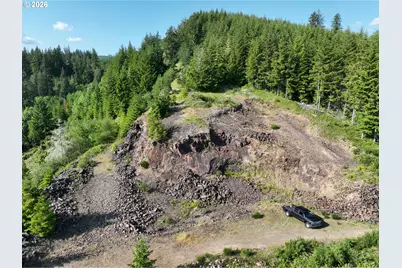 0 NE 206 Ave, Amboy, WA 98601 - Photo 33