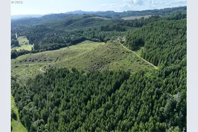 0 NE 206 Ave, Amboy, WA 98601 - Photo 29