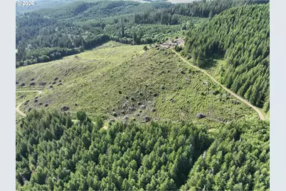 0 NE 206 Ave, Amboy, WA 98601 - Photo 27