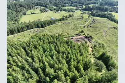 0 NE 206 Ave, Amboy, WA 98601 - Photo 15