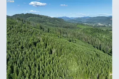 0 NE 206 Ave, Amboy, WA 98601 - Photo 7