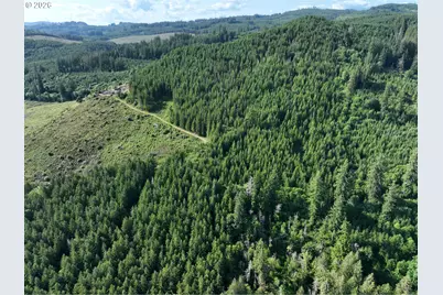 0 NE 206 Ave, Amboy, WA 98601 - Photo 31