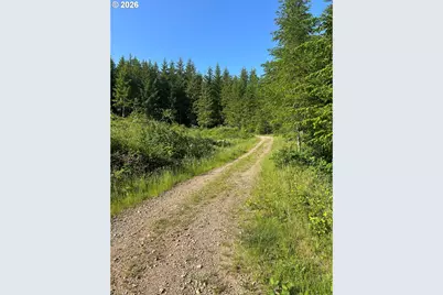 0 NE 206 Ave, Amboy, WA 98601 - Photo 37