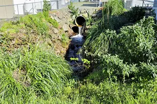 16219 Lower Harbor Rd, Brookings, OR 97415 - Photo 7