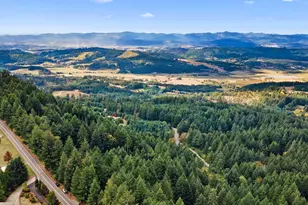 25475 NE Bald Peak Rd, Hillsboro, OR 97123 - Photo 41