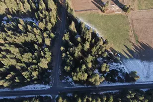 343 Little Mountain Rd, Trout Lake, WA 98650 - Photo 35