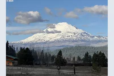 343 Little Mountain Rd, Trout Lake, WA 98650 - Photo 25