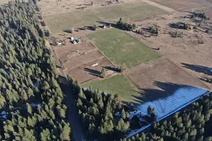 343 Little Mountain Rd, Trout Lake, WA 98650 - Photo 33