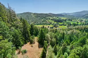 3707 Willis Creek Rd, Winston, OR 97496 - Photo 19