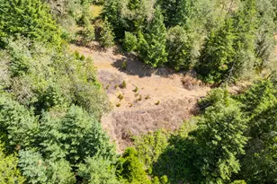 3707 Willis Creek Rd, Winston, OR 97496 - Photo 23
