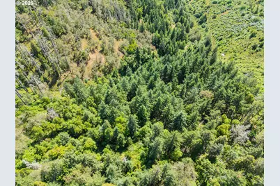 3707 Willis Creek Rd, Winston, OR 97496 - Photo 17
