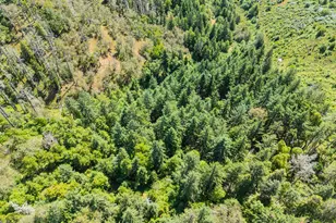 3707 Willis Creek Rd, Winston, OR 97496 - Photo 17