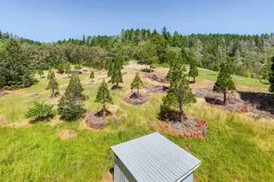 3707 Willis Creek Rd, Winston, OR 97496 - Photo 7