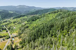 3707 Willis Creek Rd, Winston, OR 97496 - Photo 15