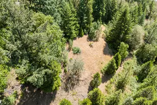 3707 Willis Creek Rd, Winston, OR 97496 - Photo 21